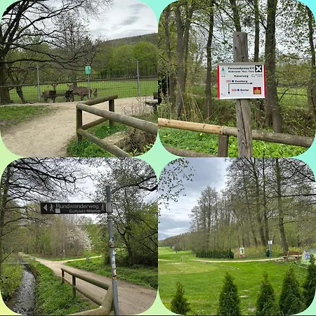 Kleine Auszeit Am Wildgehege Appartement Bad Harzburg Buitenkant foto