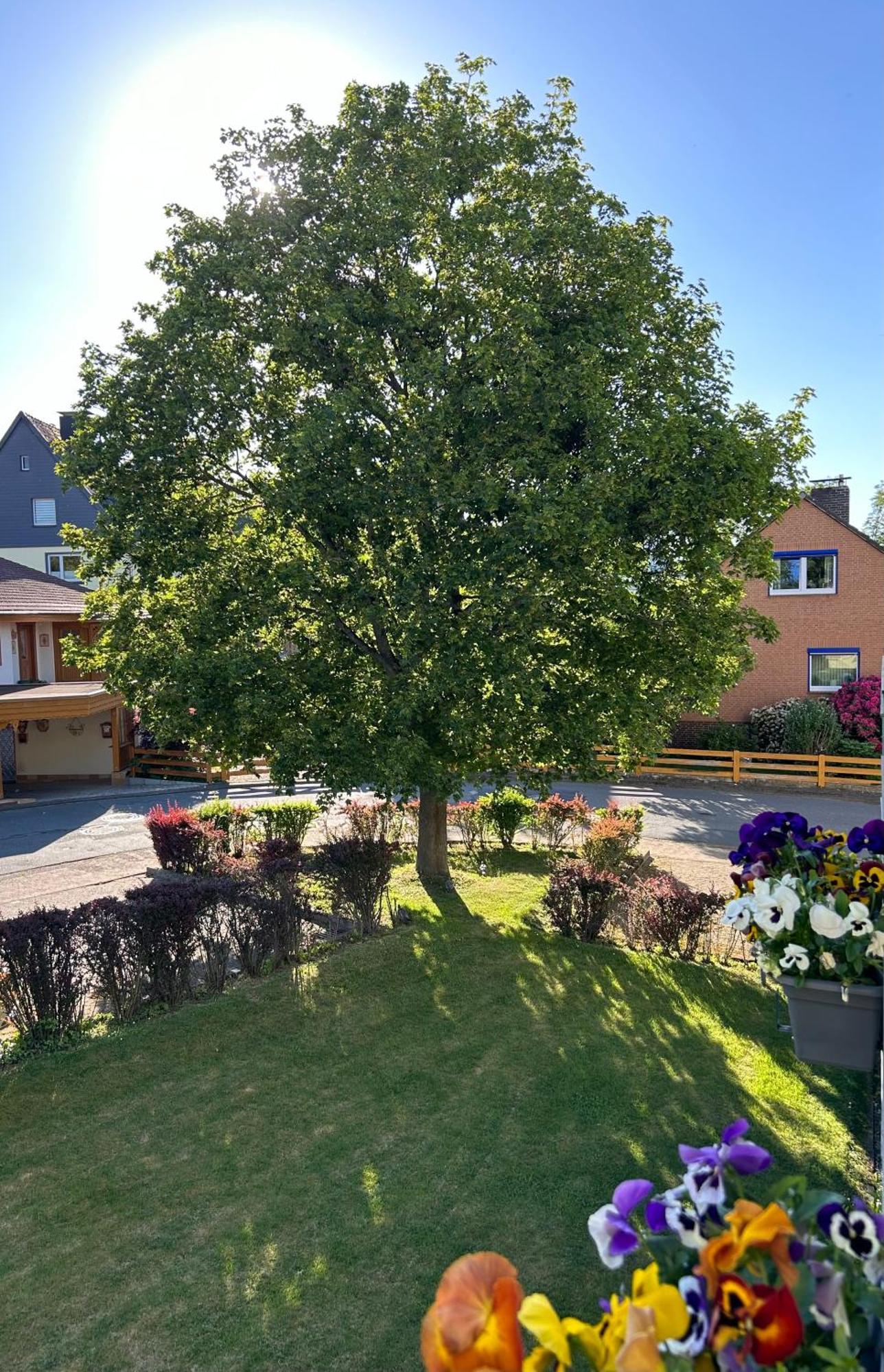 Apartment Kleine Auszeit Am Wildgehege *