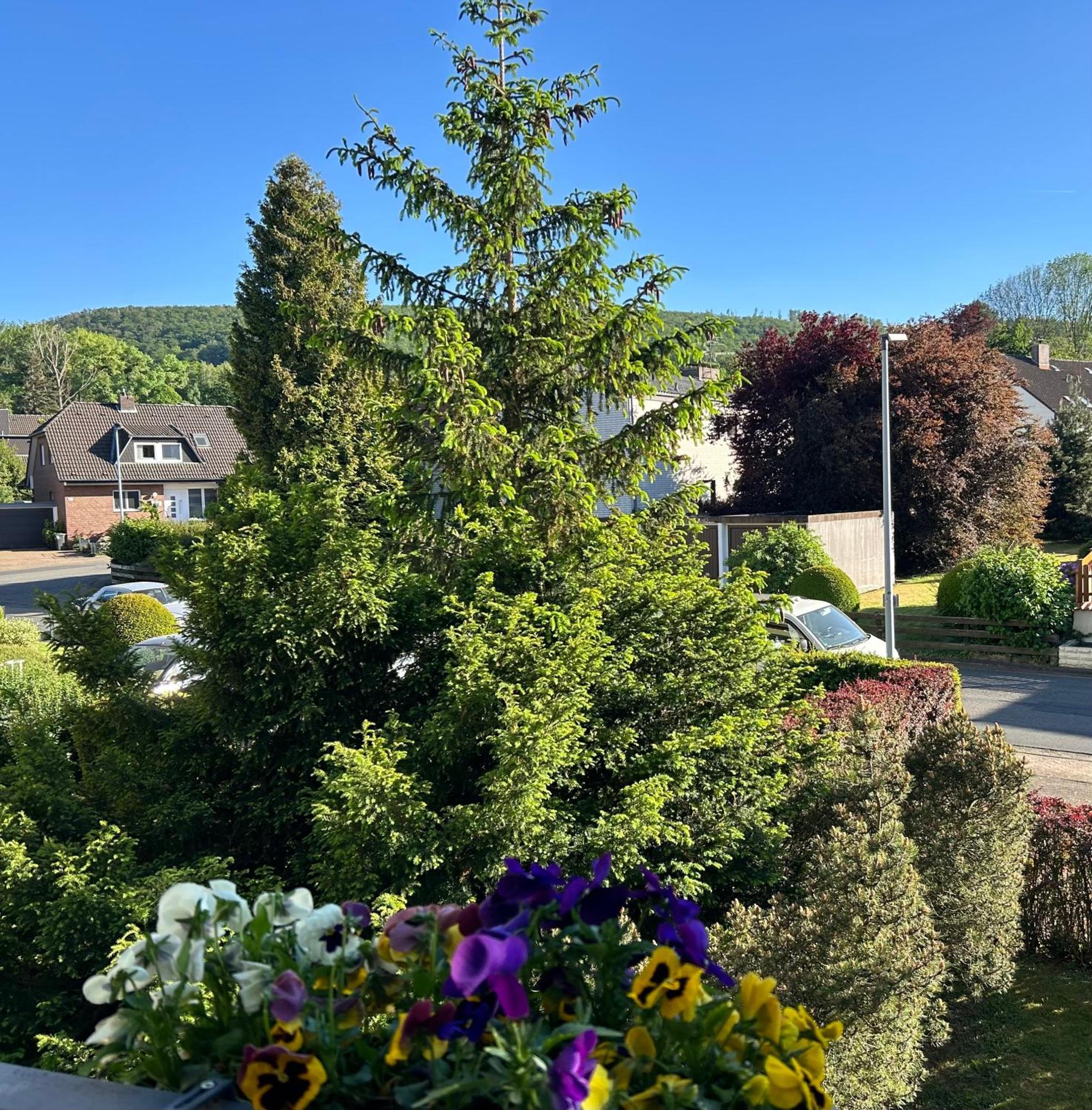 Kleine Auszeit Am Wildgehege Bad Harzburg