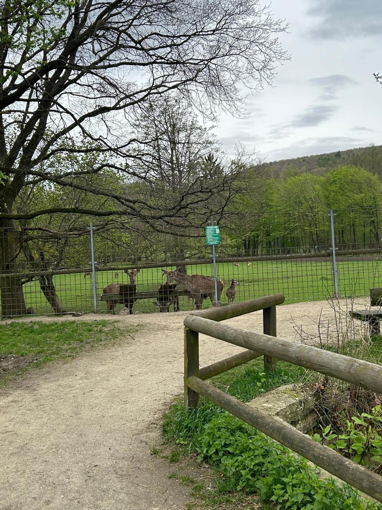 Kleine Auszeit Am Wildgehege *